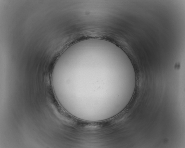 X0000111910213200907271043