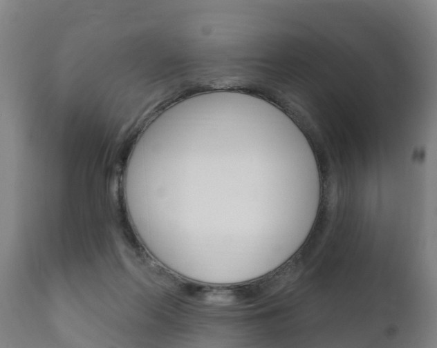 X0000111910214200907271043