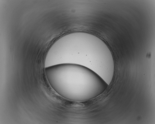 X0000111910215200907271043