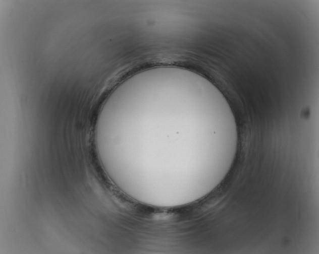 X0000111910216200907271043