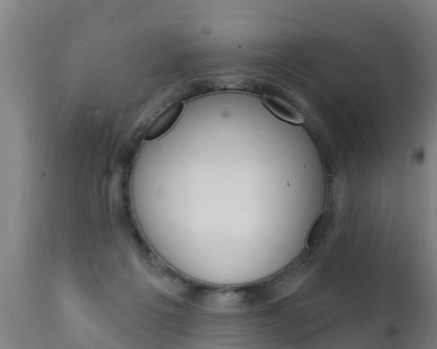 X0000111910217200907271043