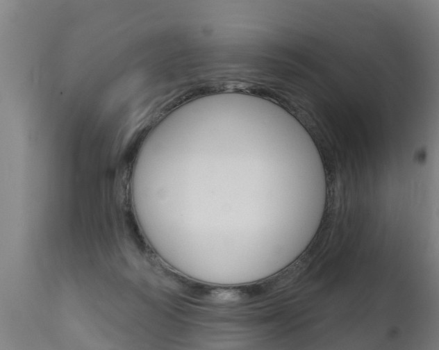 X0000111910218200907271043