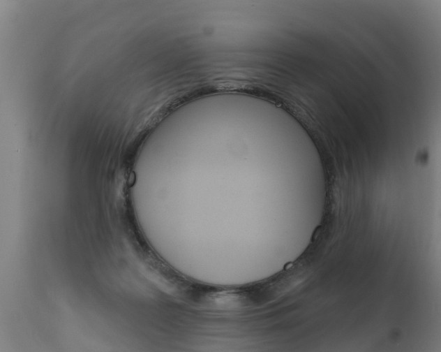 X0000111910219200907271043