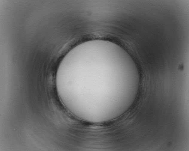 X0000111910220200907271043