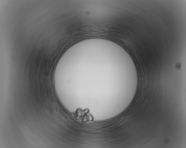 X0000111910221200907271043