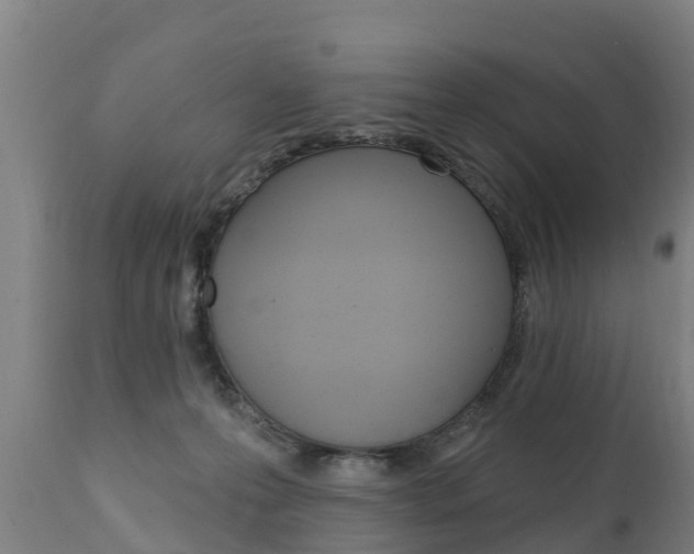 X0000111910223200907271043