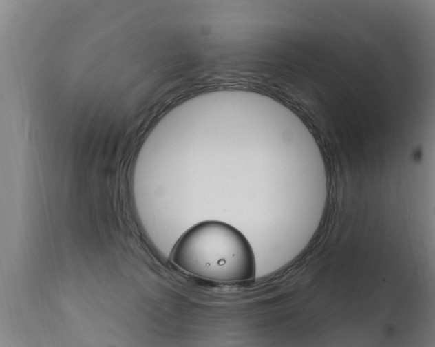 X0000111910225200907271043
