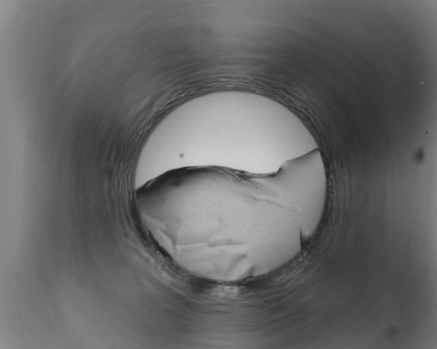 X0000111910227200907271042