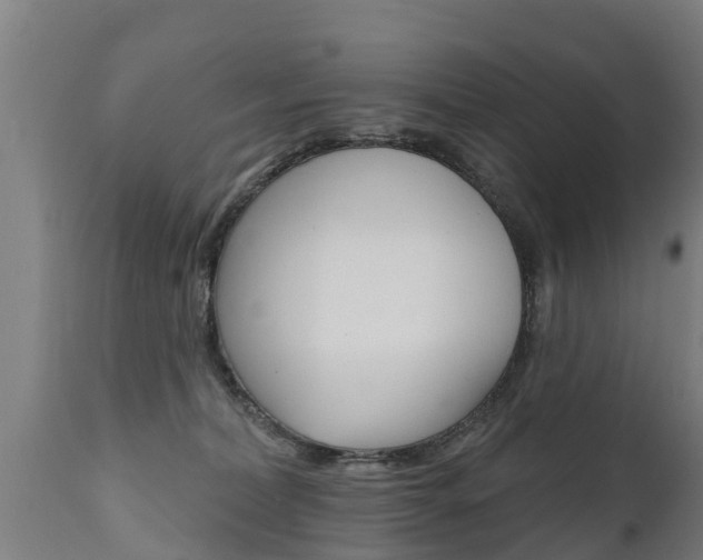X0000111910228200907271042