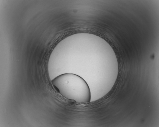 X0000111910229200907271042