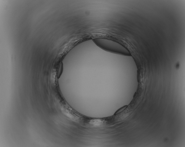 X0000111910231200907271042