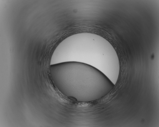 X0000111910235200907271042