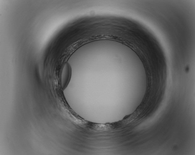 X0000111910239200907271042