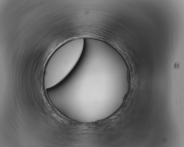 X0000111910241200907271042