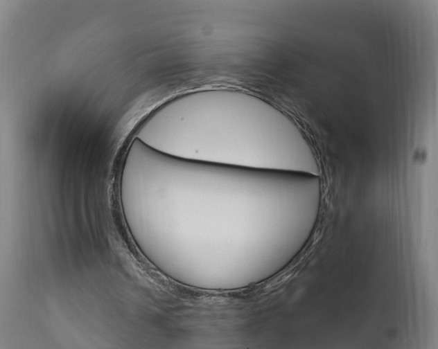 X0000111910242200907271042