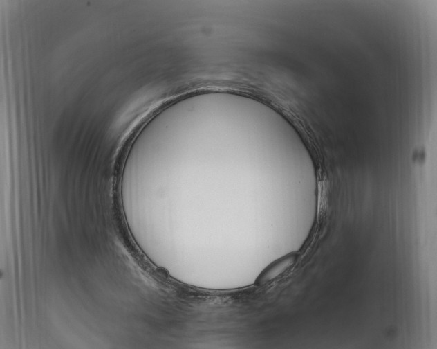 X0000111910243200907271042