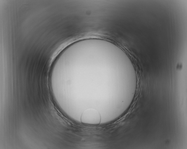 X0000111910244200907271042