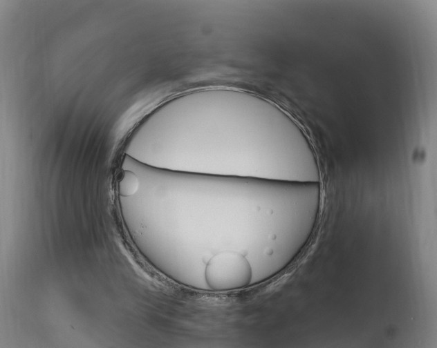 X0000111910245200907271042