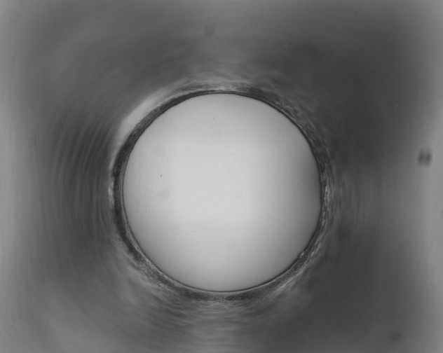 X0000111910246200907271042