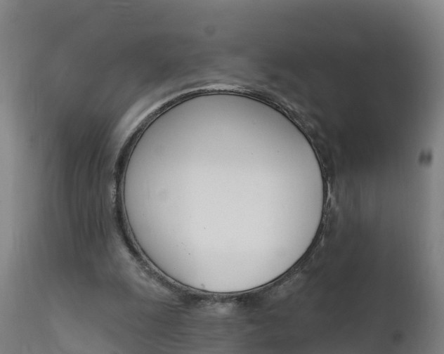 X0000111910247200907271042