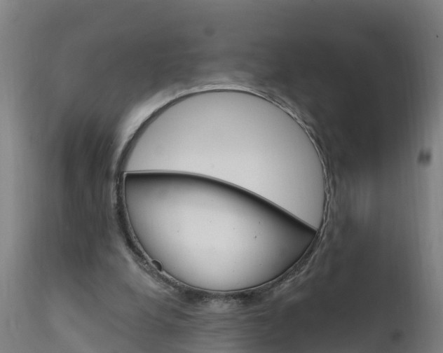 X0000111910248200907271042