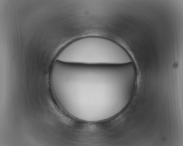 X0000111910249200907271042