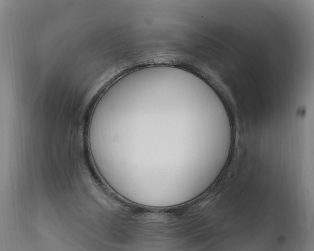 X0000111910250200907271042
