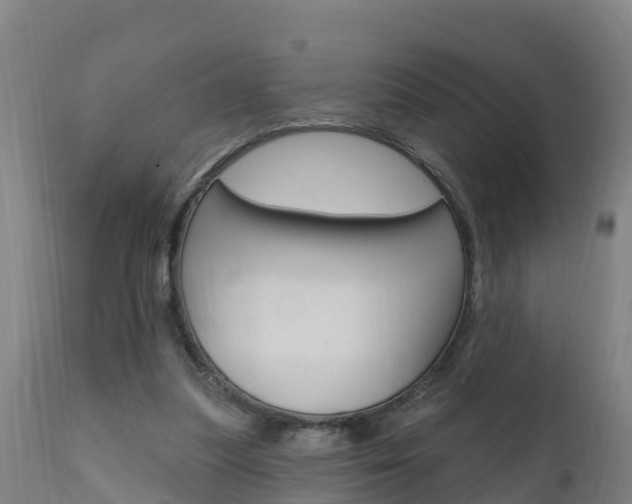 X0000111910251200907271042