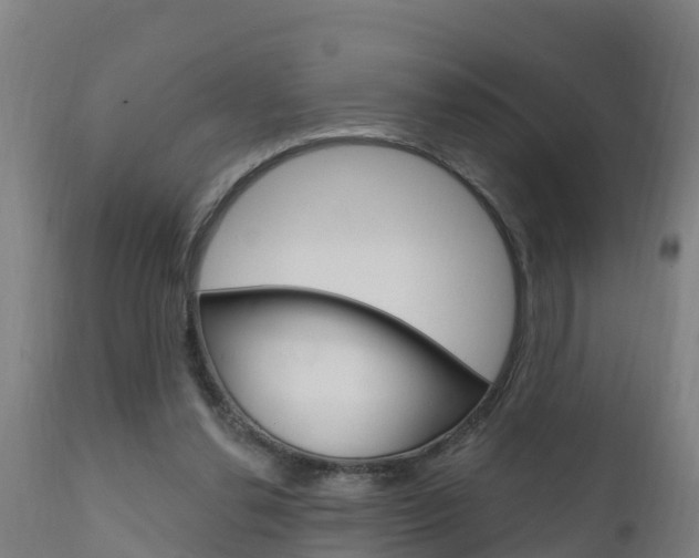 X0000111910252200907271042