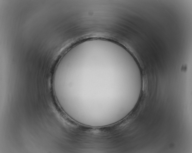 X0000111910253200907271042