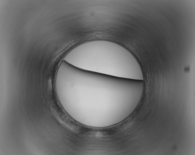 X0000111910254200907271042