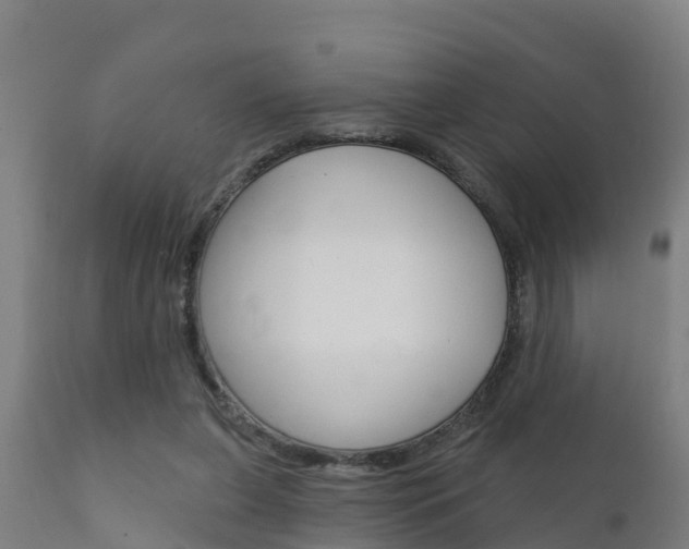 X0000111910255200907271042