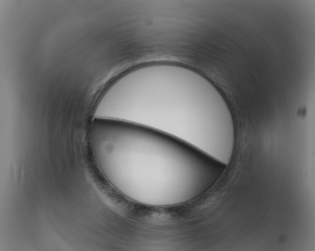 X0000111910256200907271042