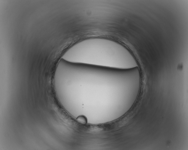 X0000111910257200907271042