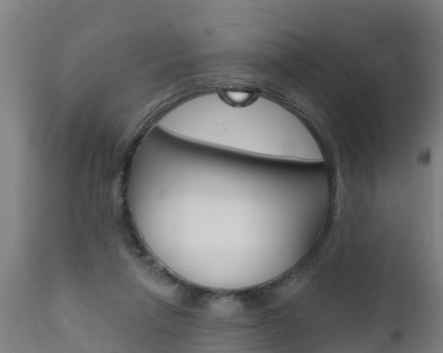 X0000111910258200907271042