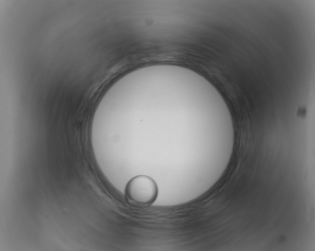 X0000111910260200907271042