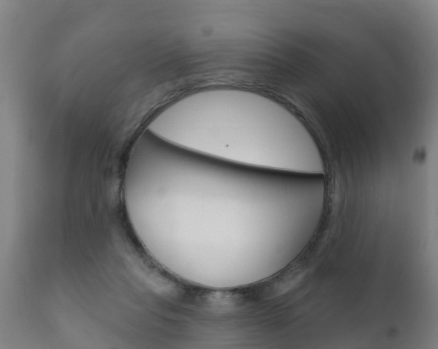 X0000111910261200907271042