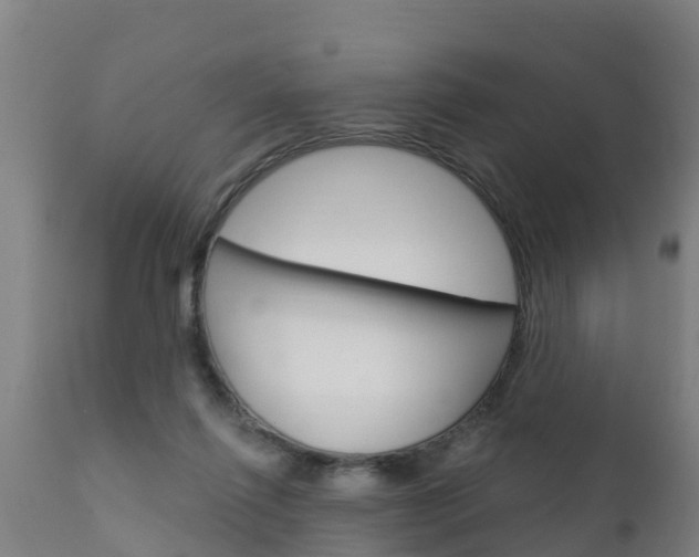 X0000111910262200907271042