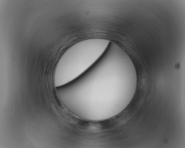 X0000111910263200907271042