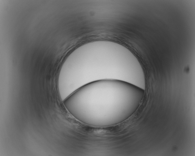 X0000111910268200907271042