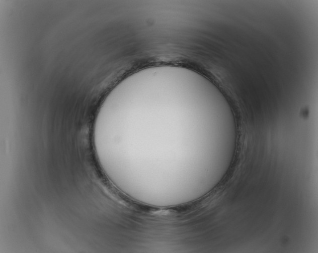 X0000111910269200907271042