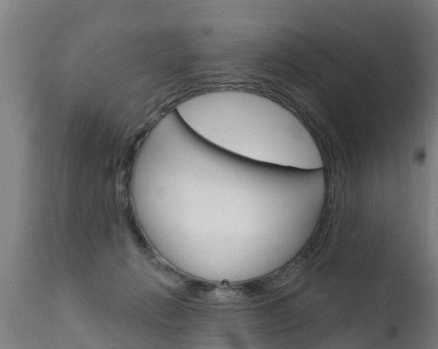 X0000111910270200907271042