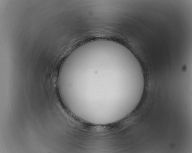 X0000111910273200907271042