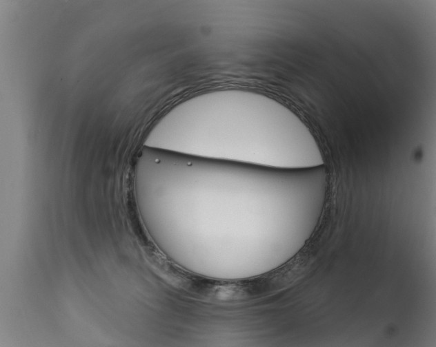 X0000111910275200907271042