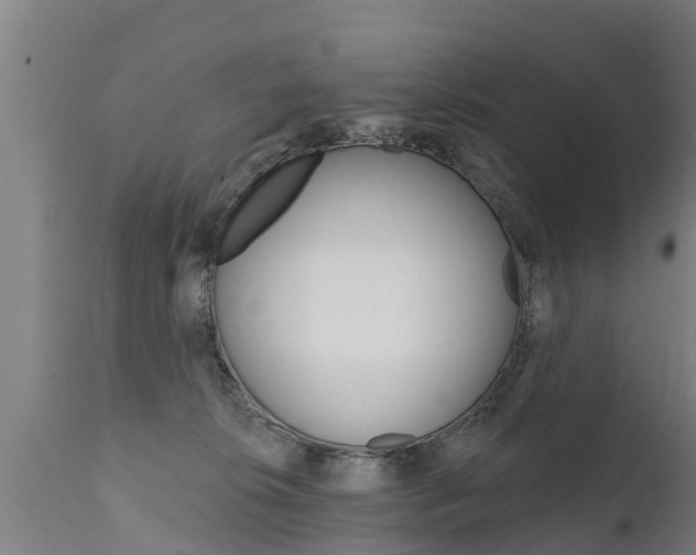 X0000111910276200907271042