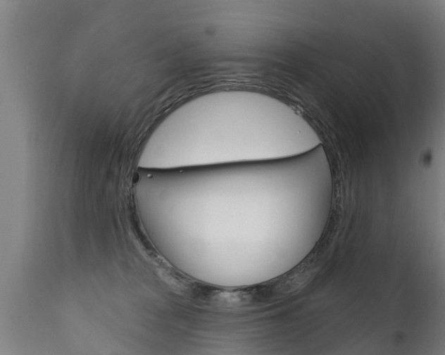 X0000111910277200907271042