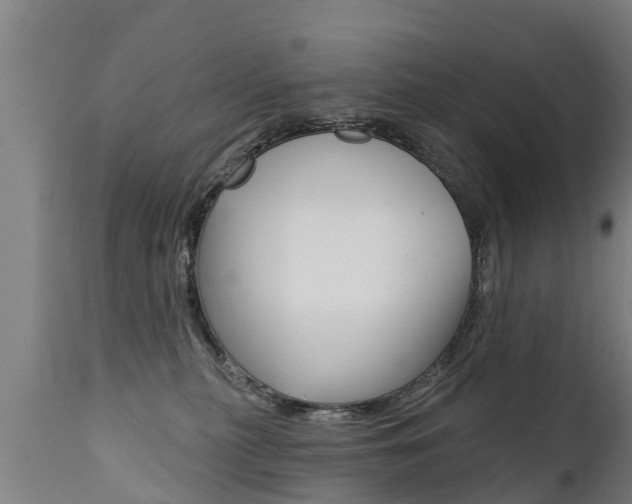 X0000111910279200907271042