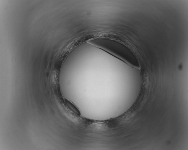 X0000111910280200907271042