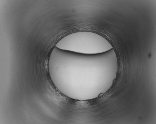 X0000111910281200907271042