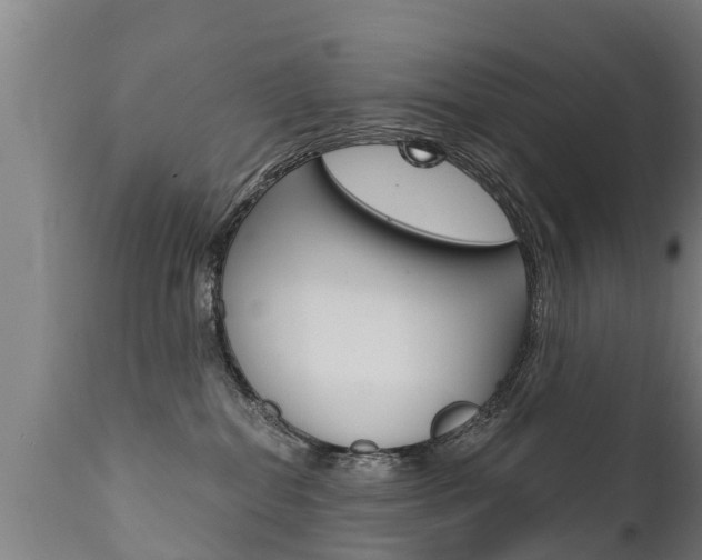 X0000111910282200907271042